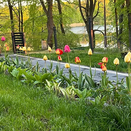 Jaromierz Dom Nad Jeziorem * Jaromierz (Kwidzyn)