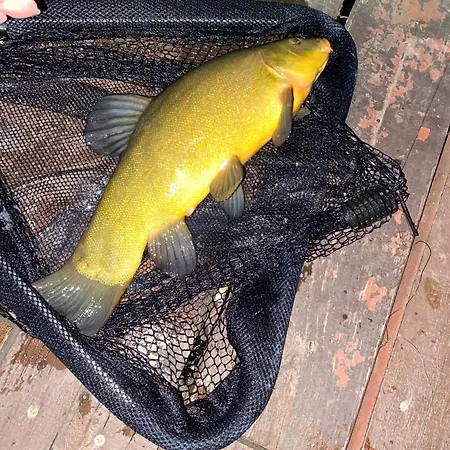 Hébergement de vacances Jaromierz Dom Nad Jeziorem Jaromierz (Kwidzyn)