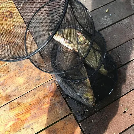 Jaromierz Dom Nad Jeziorem Hébergement de vacances Jaromierz (Kwidzyn)