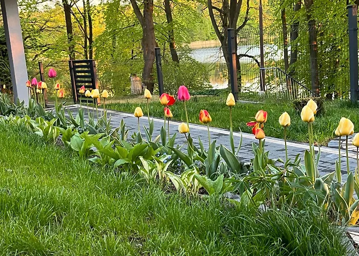 Jaromierz Dom Nad Jeziorem * Jaromierz (Kwidzyn)
