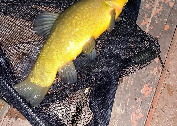 度假居 Jaromierz Dom Nad Jeziorem Jaromierz (Kwidzyn)