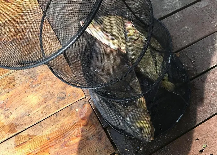 Jaromierz Dom Nad Jeziorem 度假居 Jaromierz (Kwidzyn)